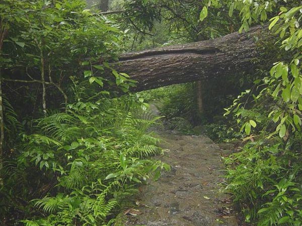永春牛姆林风景区
