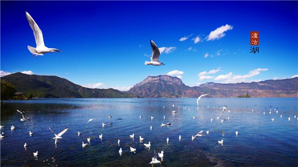 丽江到泸沽湖