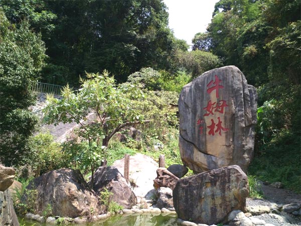 泉州永春牛姆林