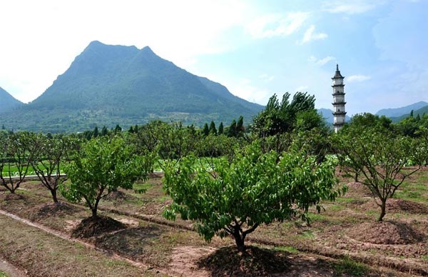 建德新叶村