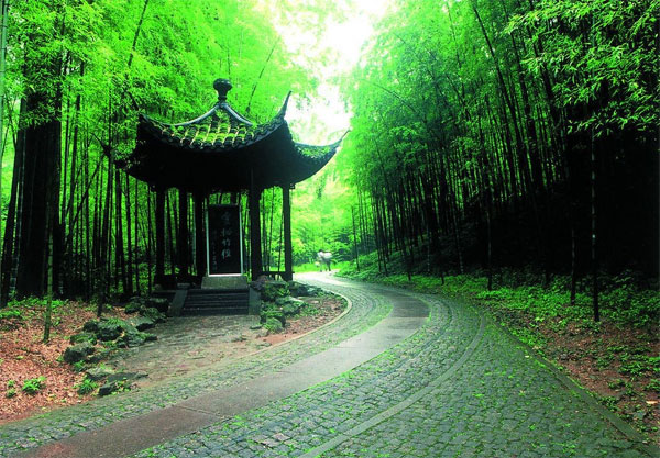 云栖竹径旅游 游云栖最好租一辆自行车|云栖竹径