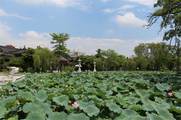 惠州西湖