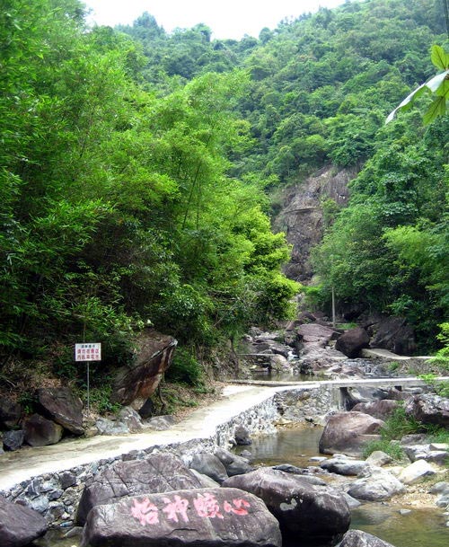幽谷逸林 藏于山谷之中的幽静旅游地|幽谷逸林