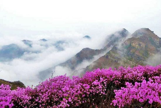 辽宁朝阳大黑山国家森林公园