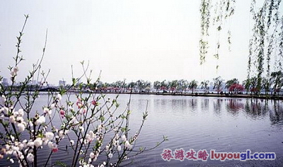 苏堤春晓风光_云旅游攻略网 lvyougl.com