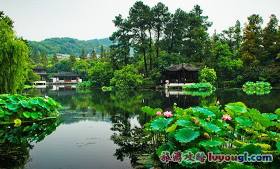 曲院风荷风光_云旅游攻略网 lvyougl.com