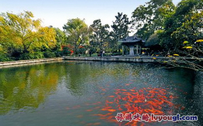 花港观鱼美景_云旅游攻略网 lvyougl.com