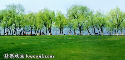 柳浪闻莺_云旅游攻略网 lvyougl.com