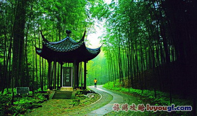 云栖竹径风光_云旅游攻略网 lvyougl.com