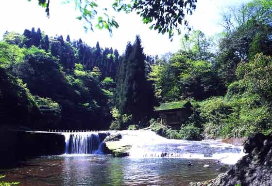 天台山隶属邛崃山脉,位于中国优秀旅游城市、巴蜀四大古城之一的文君故里邛崃市,距成都(吃,住,游,购,娱)110公里,相传因大禹在蜀治水,来此设台祭天而得名。 作为自然景观与人文历史紧密结合的天台山,以山奇、石怪、水美、林幽而著称。景区气候温和,雨量充沛,年均气温16,森林覆盖率达94.